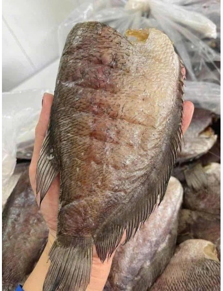CÁCH LÀM GỎI XOÀI KHÔ CÁ SẶC THƠM NGON ĂN LÀ GHIỀN CÁCH LÀM GỎI XOÀI KHÔ CÁ SẶC THƠM NGON ĂN LÀ GHIỀN