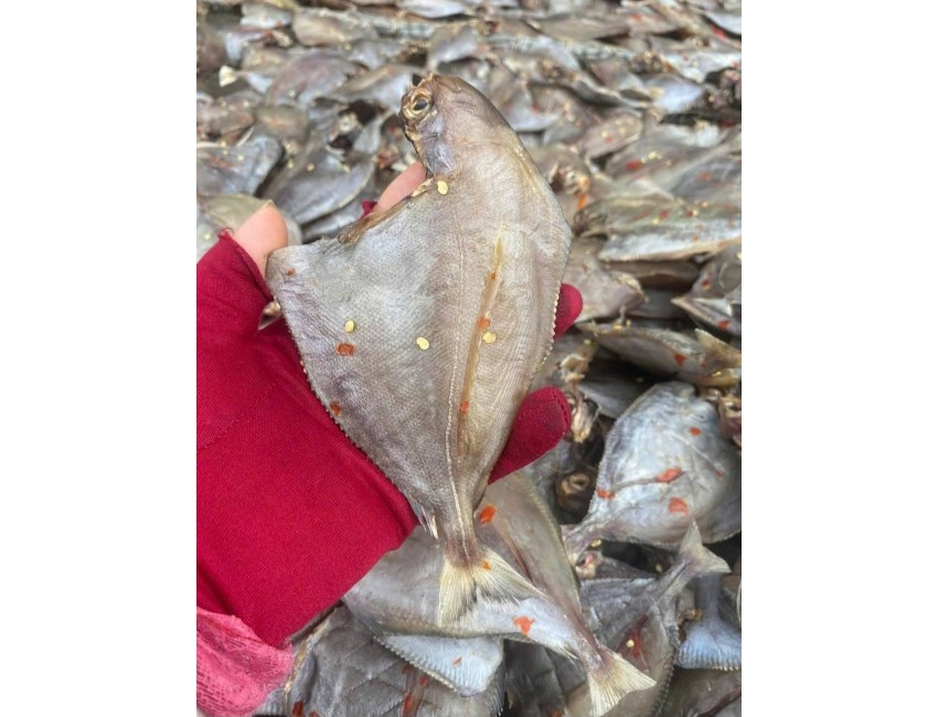 Khô cá chim trắng 1 nắng/cá chim biển