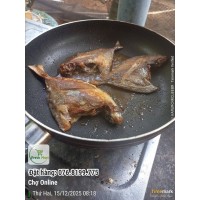 Khô cá chim trắng 1 nắng/cá chim biển