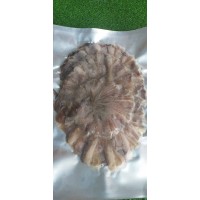 Khô cá đuối