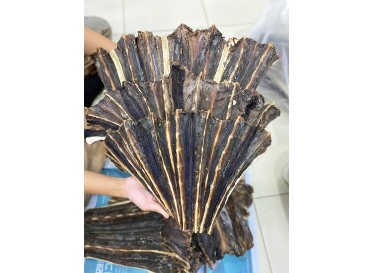 Vây Cá Đuối Đen