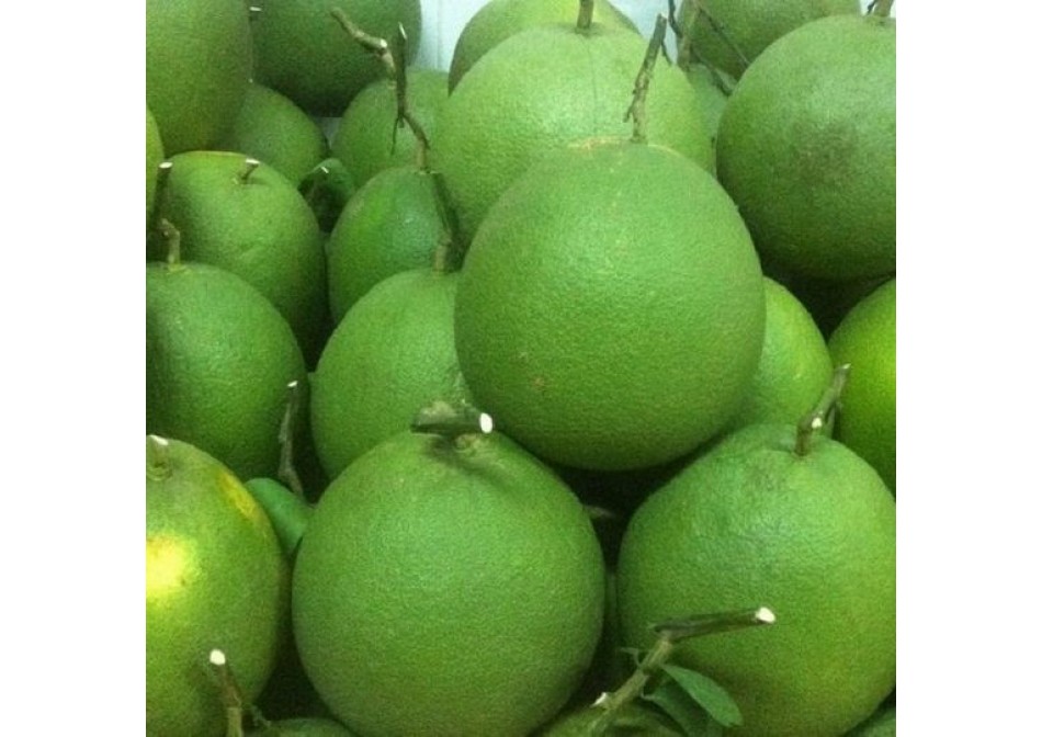 Tin tức Tin tức